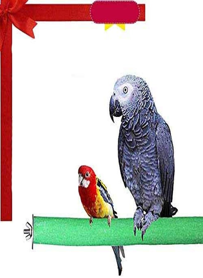 Western Era Set of 2 Safe Wood Sand Perch/Stand/Toy for Birds (Light Weight) (Size - 6") - Image 1